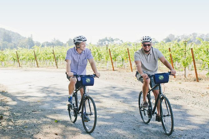 Half-Day Napa Winery E-Bike Tour - Who will enjoy this Napa bike tour