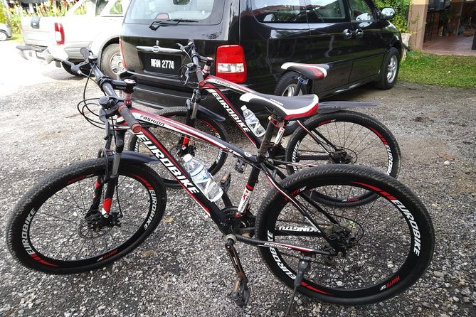 Half-Day Penang Countryside Cycling Tour - Price, group size, and practical value