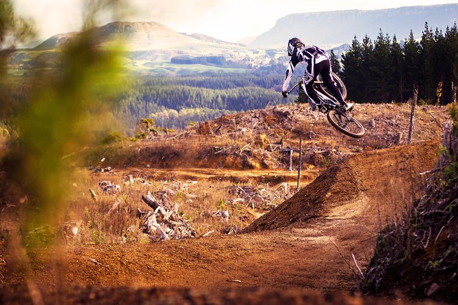 Half-Day Self-Guided Mountain Bike Journey through Whakarewarewa Redwood Forest - Key points before you pedal