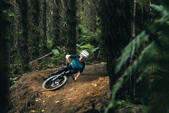 Half-Day Self-Guided Mountain Bike Journey through Whakarewarewa Redwood Forest - Price and practical value at $34