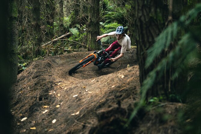 Half-Day Self-Guided Mountain Bike Journey through Whakarewarewa Redwood Forest - Arriving at the forest gateway