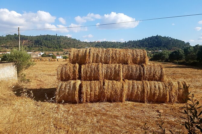 Half-Day Small-Group E-Bike Tour of Rural Algarve with Lunch - What the $571 price means in practical terms