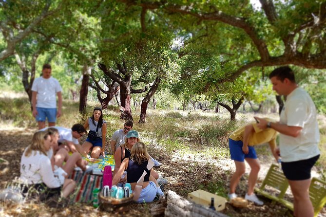 Half-Day Small-Group E-Bike Tour of Rural Algarve with Lunch - Starting at Gato Preto de Silves