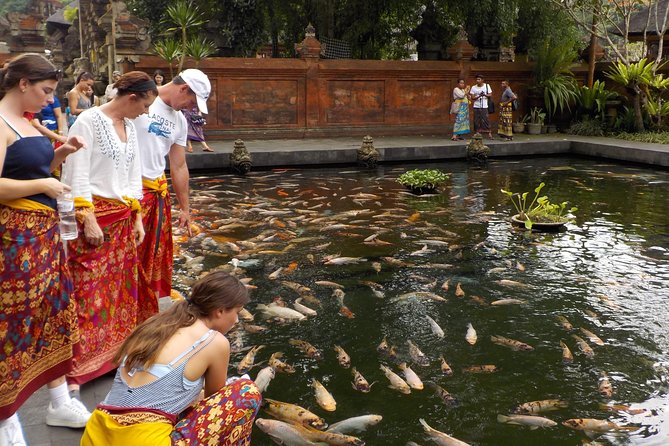Half-Day Ubud Electric Cycling Tour to Tirta Empul Water Temple - Why an electric bike makes sense around Ubud