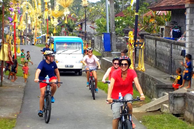 Half-Day Ubud Electric Cycling Tour to Tirta Empul Water Temple - Who should book this Ubud cycling experience?