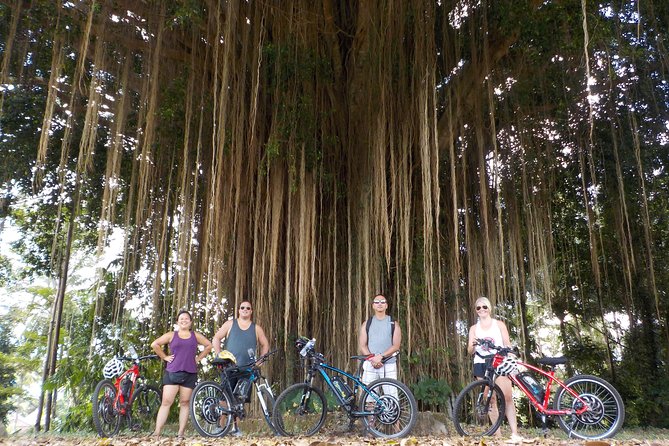 Half-Day Ubud Electric Cycling Tour to Tirta Empul Water Temple - Booking details worth knowing