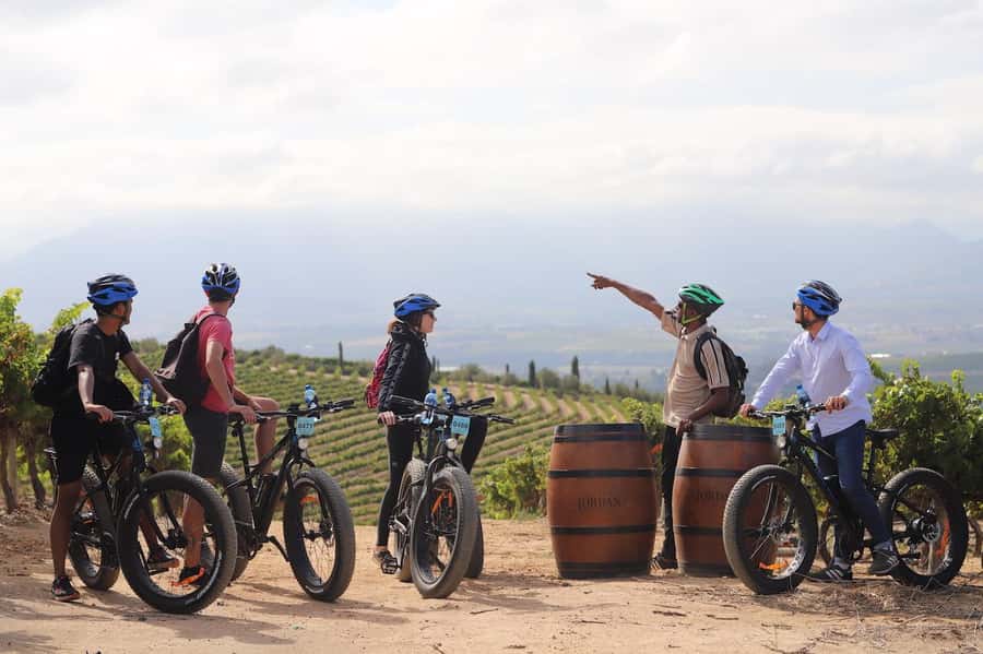 Half-Day Winelands E-Bike Tour with Wine Tasting - Key points to know before booking
