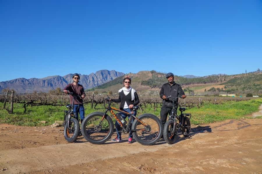 Half-Day Winelands E-Bike Tour with Wine Tasting - The views are the reward for the climbs