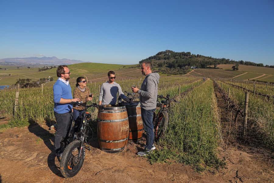 Half-Day Winelands E-Bike Tour with Wine Tasting - Ending at an award-winning wine estate