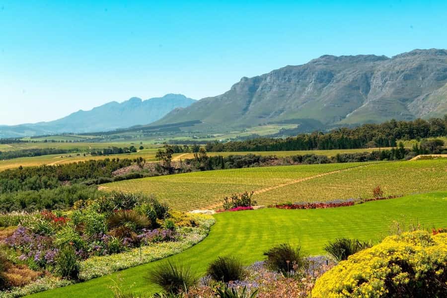 Half-Day Winelands E-Bike Tour with Wine Tasting - Getting comfortable on the electric bike