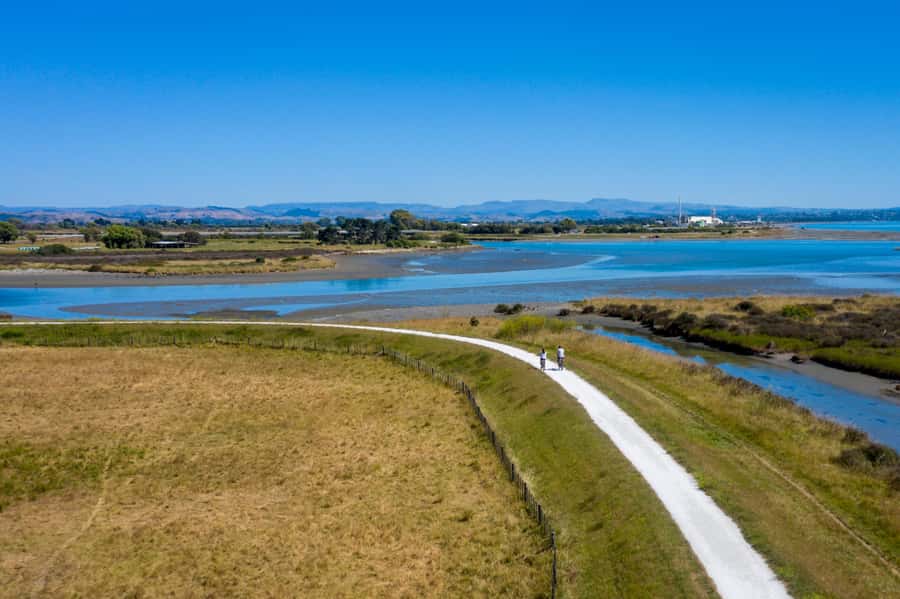 Hawke's Bay: Self Guided Coast to Vineyards Cycle Tour - Why the 4:00 PM shuttle matters