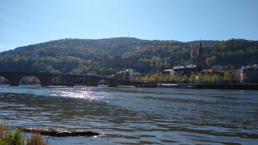 Heidelberg: Guided Bike Tour - Key points to know before you book