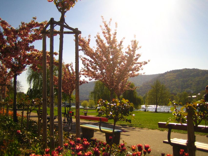 Heidelberg: Guided Bike Tour - What the $50 price buys you