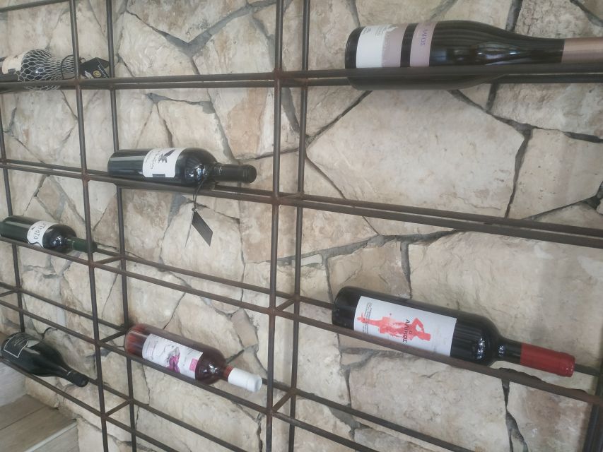 Heraklion: Ecobike Tour with Wine Tasting - What the guides add to the experience