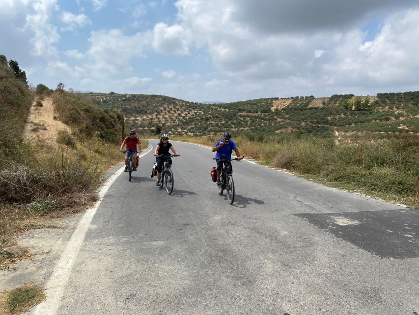 Heraklion: Wine Tasting E-Bike Tour - Dafnes, Crete’s wine village