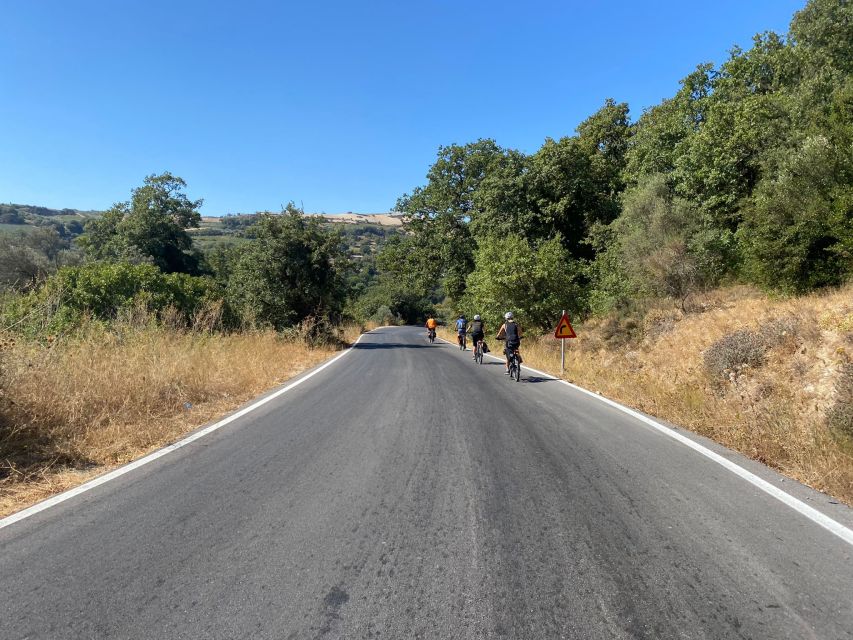Heraklion: Wine Tasting E-Bike Tour - The wine tasting is also the transport break