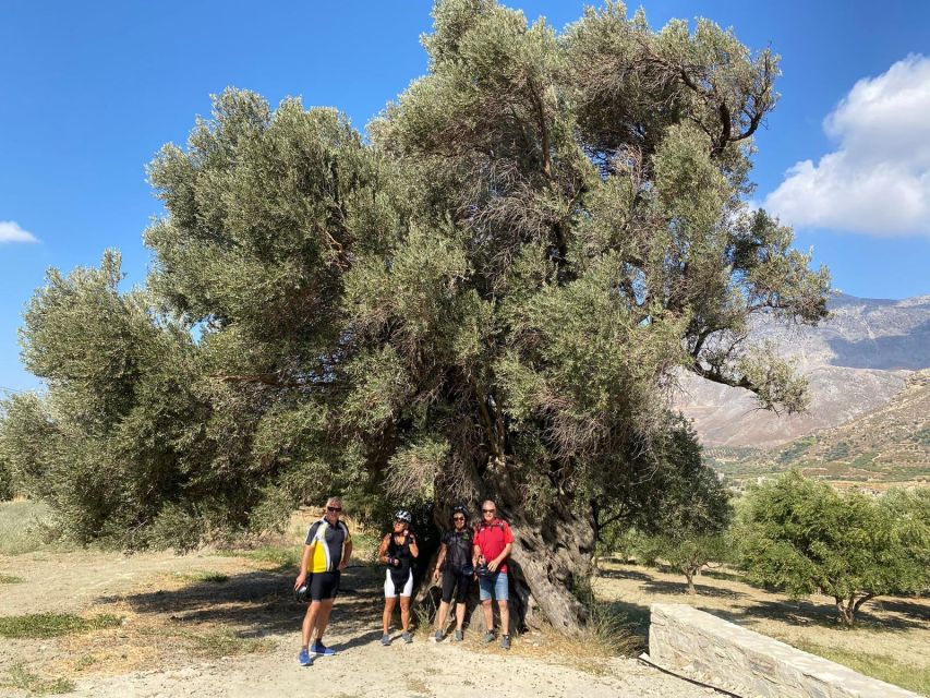 Heraklion: Wine Tasting E-Bike Tour - Is $101 a fair price?