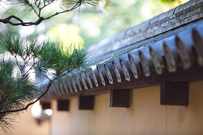 Hidden Kyoto E-Biking tour - Why a bicycle works so well in northern Kyoto