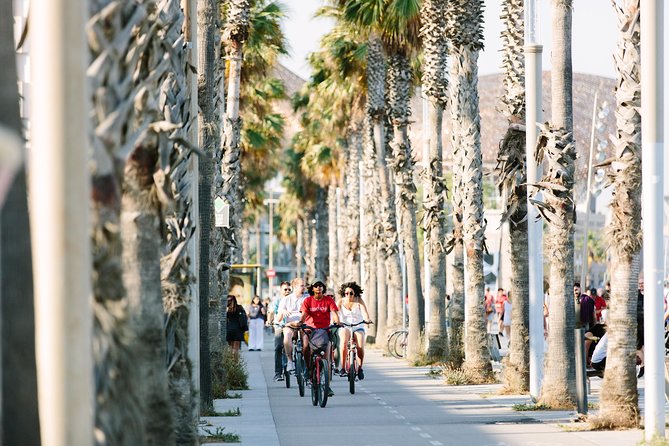 Highlights & Hidden Spots of Barcelona Bike Tour w/ Local Guide - Palau de la Música Catalana and the old center