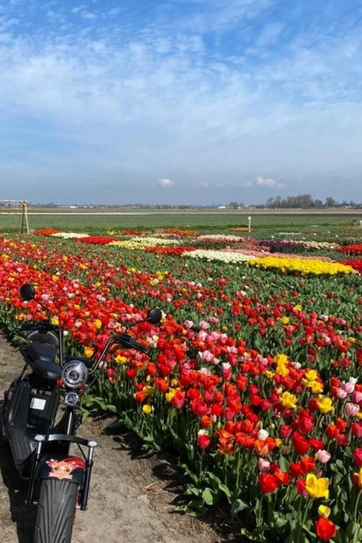 Hillegom: E-Scooter or E-Bike Rental in the Bulb Region - Starting near Hillegom train station