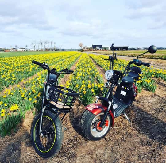 Hillegom: E-Scooter or E-Bike Rental in the Bulb Region - Choosing between an e-scooter and an e-bike