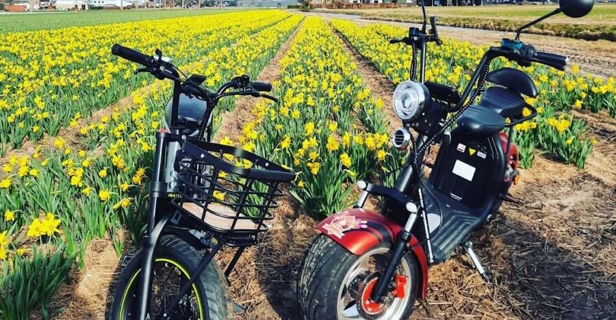 Hillegom: E-Scooter or E-Bike Rental in the Bulb Region - Riding through the spring tulip fields