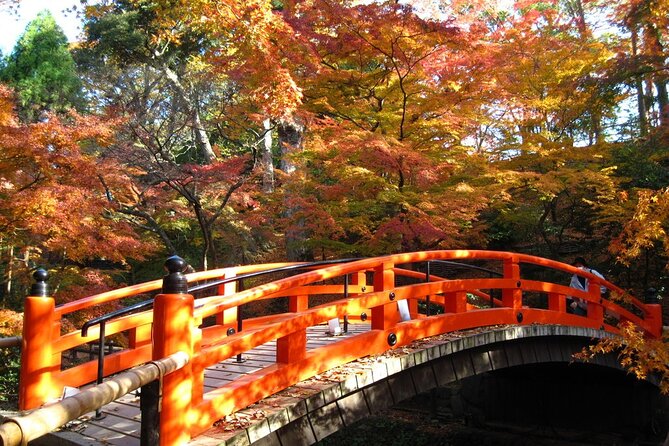 Historical Kyoto E-Bike Tour - Lunch and the value of a local stop