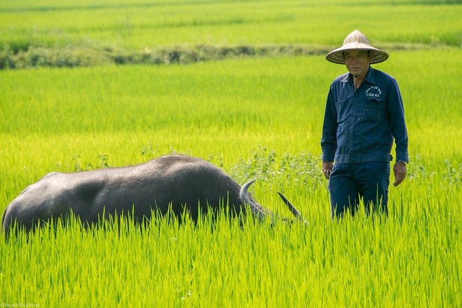 HOI AN Biking River Islands, Villages, Local Crafts PRIVATE TOUR - How difficult is the cycling?