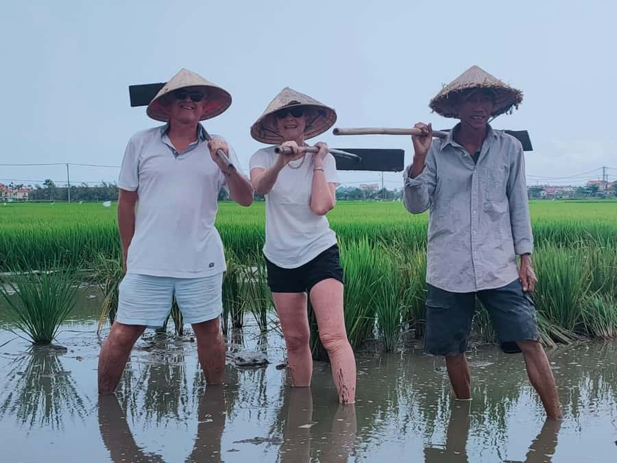 Hoi An: Countryside by Cycling, Buffalo Riding & Do Farming - Who Should Book This Hoi An Countryside Tour?