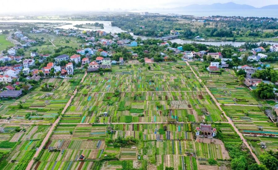 Hoi An: Rural Cycling Tour to Village with Basket Boat Ride - Who should book this Hoi An cycling tour?