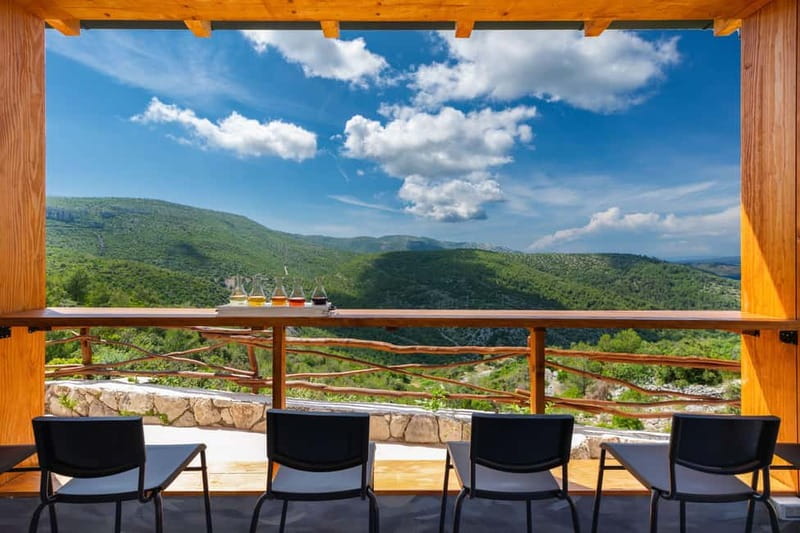 Hvar Island E-Bike Tour with Wine Tasting and Starters - Lavender fields in bloom