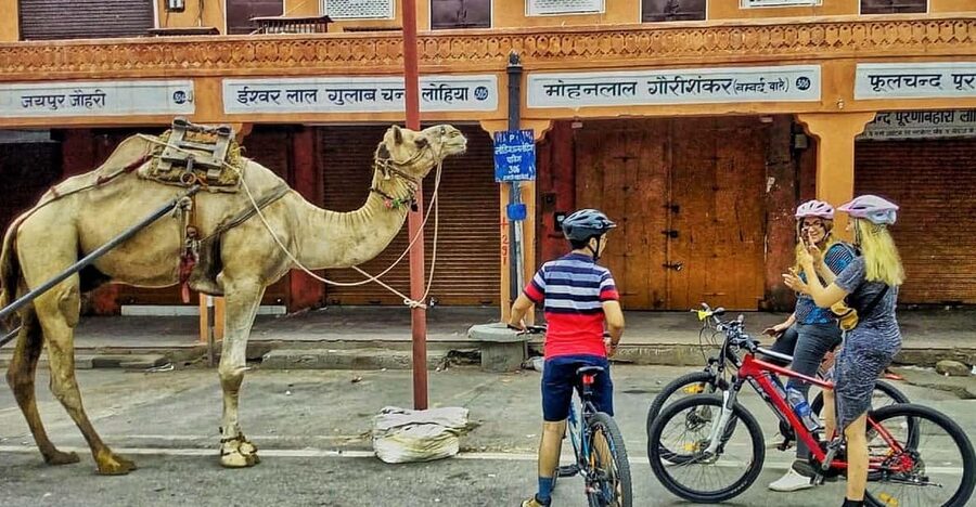 Jaipur: 3-Hour Morning Bike Tour of Jaipur Old City - Govind Dev Ji temple and the morning Aarti
