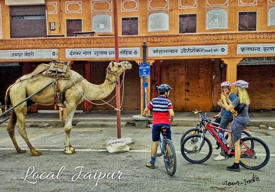 Jaipur: 3-Hour Morning Bike Tour of Jaipur Old City - From the Pink City lanes to a three-generation chai stop