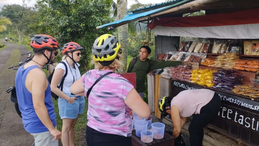 Jatiluwih (UNESCO Site) 2-Hour E-Bike Cycling Tour - From Batukaru Temple to Jatiluwih’s green terraces