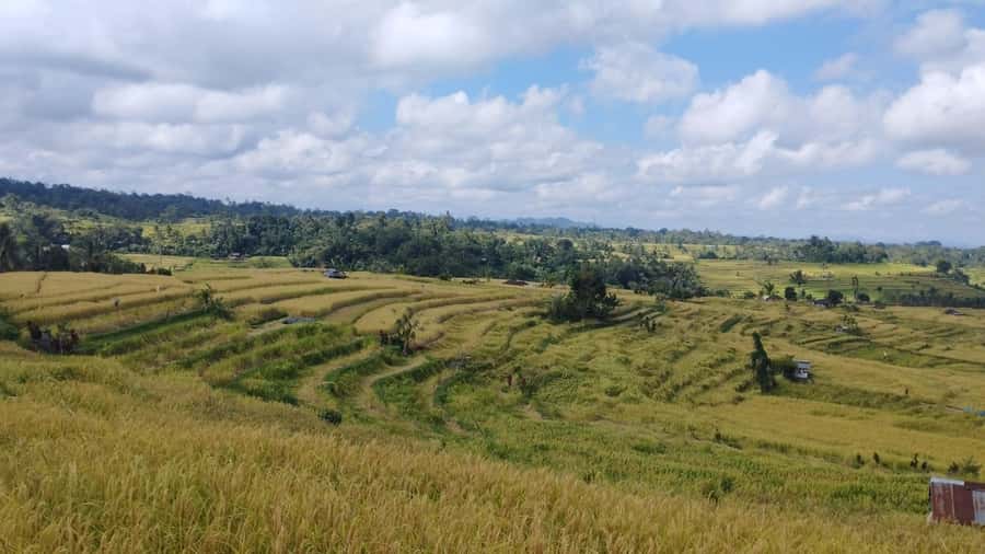 Jatiluwih (UNESCO Site) 2-Hour E-Bike Cycling Tour - Is $69 good value?