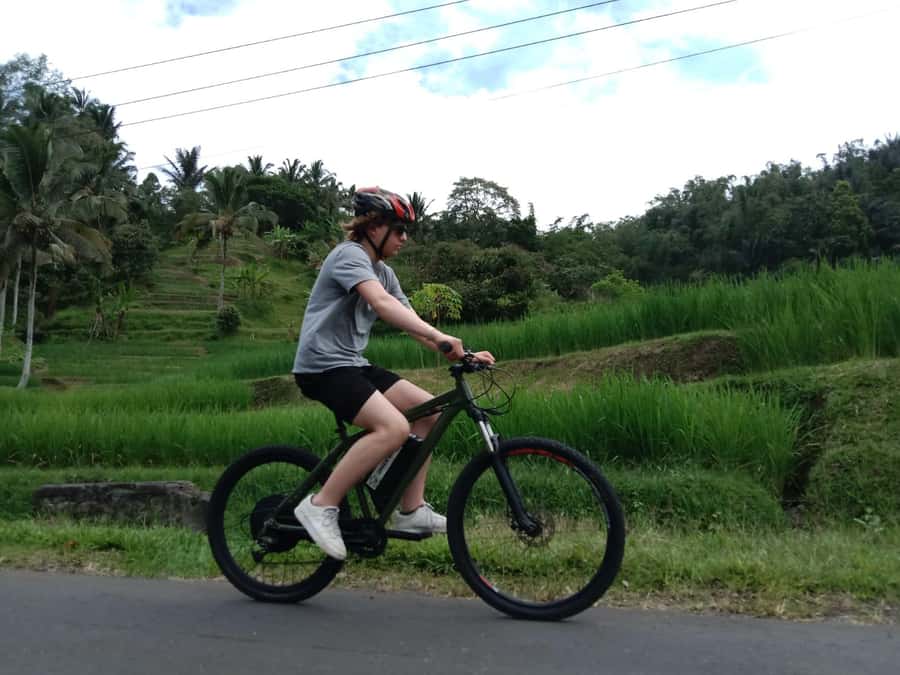 Jatiluwih (UNESCO Site) 2-Hour E-Bike Cycling Tour - What makes Jatiluwih worth the ride