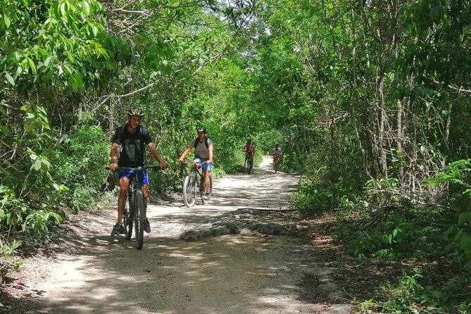 Jungle Bike Tour from Playa del Carmen with Bath in a Cenote - Why this tour feels different from a standard cenote outing