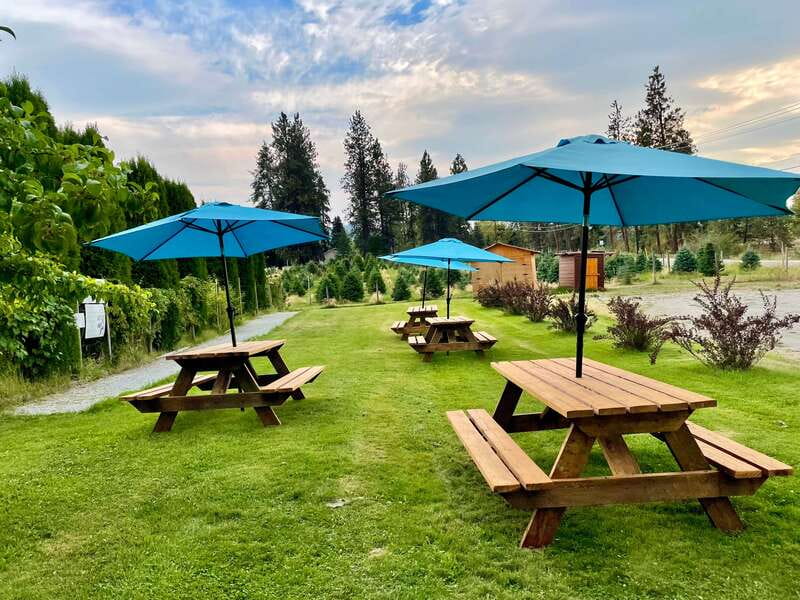 Kelowna: E-Bike Guided Wine Tour with Lunch & Tastings - The final ride and souvenir video