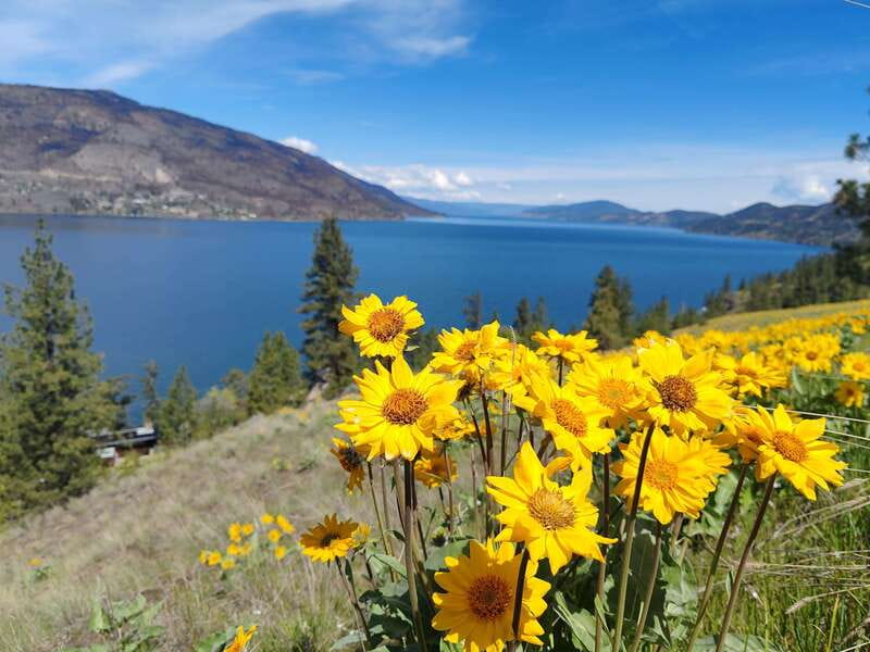 Kelowna: E-Bike Rental with In-App Navigation Guide - Planning your route around the old train trail