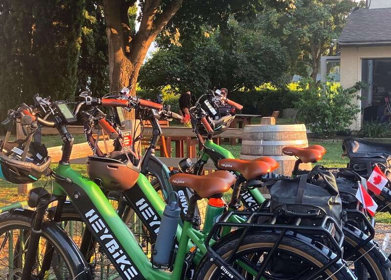Kelowna: Wine Tasting by E-bike, Smartphone Guide & Lunch - Lunch and a third tasting at Meadow Vista