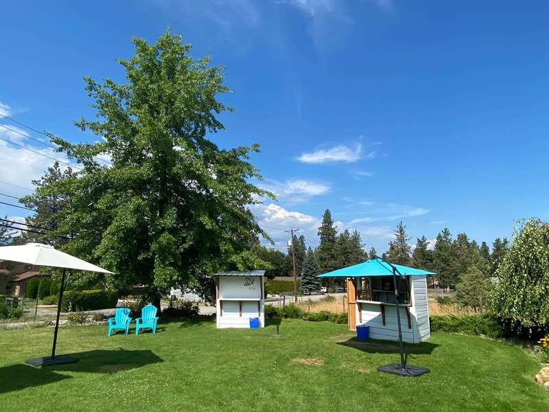 Kelowna: Wine Tasting by E-bike, Smartphone Guide & Lunch - How the self-guided format affects the day