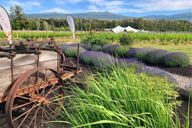 Kelowna Wine Tour by E-bike, Okanagan Valley Views and Lunch - The essential points at a glance