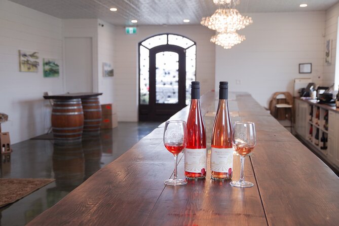 Kelowna Wine Tour by E-bike, Okanagan Valley Views and Lunch - Who will enjoy this ride most