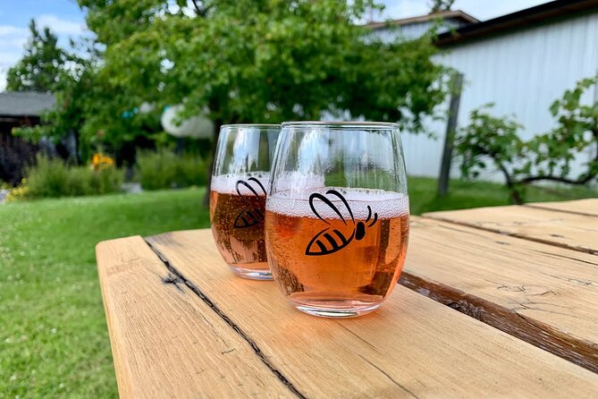 Kelowna Wine Tour by E-bike, Okanagan Valley Views and Lunch - Small details that make the day easier