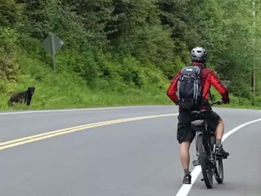 Ketchikan: E-Bike and Hike Tour - Why this Ketchikan tour works so well