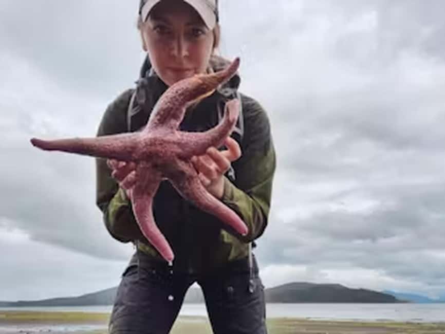 Ketchikan: E-Bike and Hike Tour - Walking into the Tongass National Forest