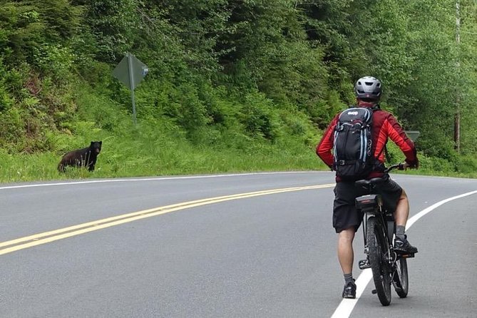Ketchikan Electric Bike and Rain Forest Hike Ecotour - The ride from the marina to the end of the road