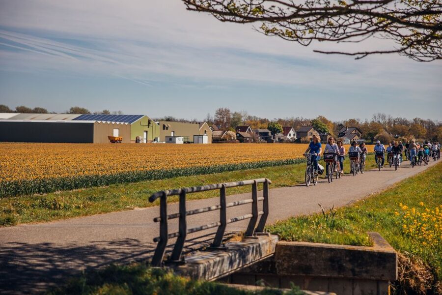 Keukenhof: Flower Fields Small-Group Cultural Bike Tour - Why cycling outside Keukenhof is worth your time