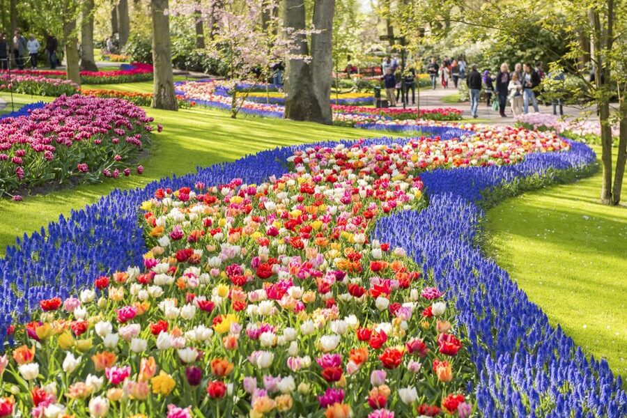 Keukenhof: Flower Fields Small-Group Cultural Bike Tour - Returning to Keukenhof and planning your day