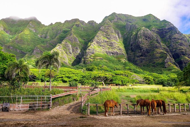 Kualoa Ranch: Novice E-Bike - Key things to know before you book